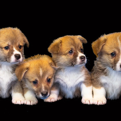 Learning Chinese Through Stories