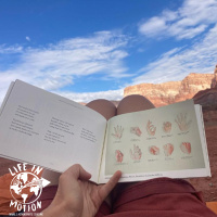 Bringing Art and Stories from the Outdoors to Life with Seneca of The Thalweg