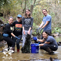 Small Wonders, Big Impact - Protecting Floridas ecosystems with Nicole Llinas of Current Problems