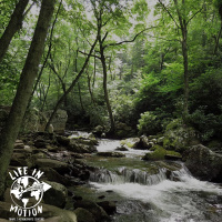 Keeping Virginia Wild and Green: An interview with Katie Keller of Wild Virginia