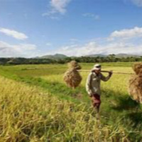 Tarrifs Kicking In, Wal - Mart Closing amp Feeding The Babies