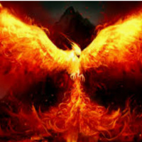 BodCast Episode 10: Train Outta Pain