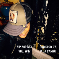Hip Hop Mix #17 Powered by P la Cangri