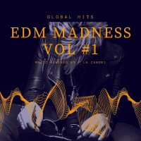 EDM Madness Vol. # 1 Mix Powered by P La Cangri