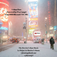 Trap 2018 Blizzard NYC Mix Show 2018 Powered by P La Cangri