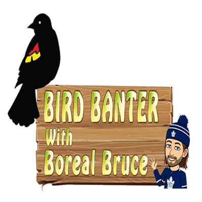 Bird Banter With Boreal Bruce