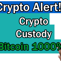 Bitcoin surge 1000% if Crypto Custody for big Investor?