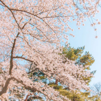 How was your fasting today ? 