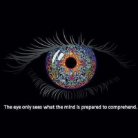 Dear Nigerian people 