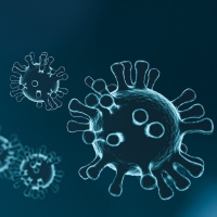 Consejos básicos para prevenir el coronavirus