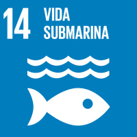ODS nº14: Conservar y utilizar sosteniblemente los océanos, los mares y los recursos marinos
