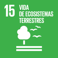 ODS nº15: Vida de ecosistemas terrestres