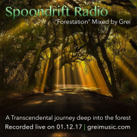 [01.12.2017] Forestation