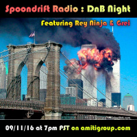 [09-11-2016] Grei (DNB Set)