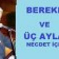 Necdet İçel - BEREKET VE ÜÇ AYLAR