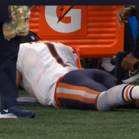 Falcons Foil Fields Festival