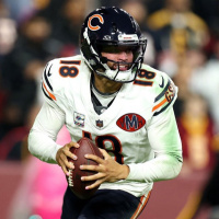 Bears Survive  Advance