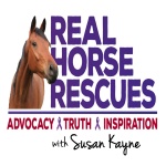 Real Horse Rescues With Susan Kayne