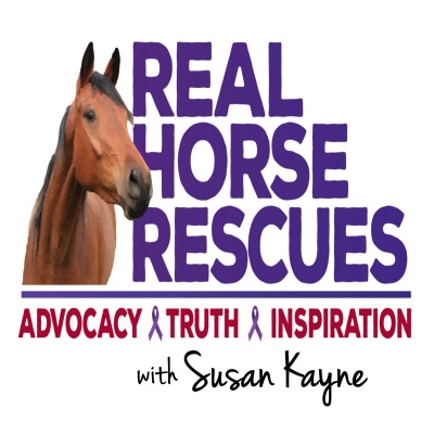 Real Horse Rescues With Susan Kayne