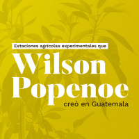 Estaciones agrícolas experimentales que Wilson Popenoe creó en Guatemala
