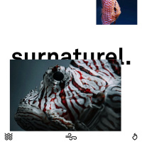 Surnaturel (4) - Vivre l’Esprit: Une Vie Surnaturelle - Amaèle B. - 23.03.3025