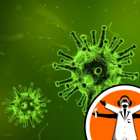 Ancient protein thwarts virus attack