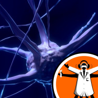 The nervous systems of worms