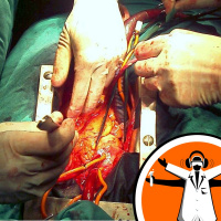 Growing Human Hearts