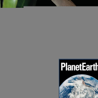 Brown water, bats and streetlights, plant methane