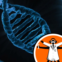 Decoding the Minimum Genome