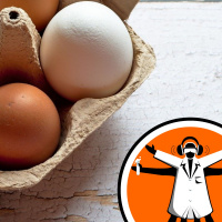 Modelling concussion with eggs