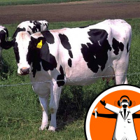 The true cost of farming?