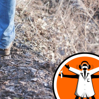 Prostheses that can restore lost sensation