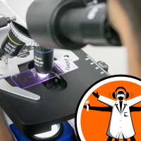 Staphylococcus aureus biofilm vaccine