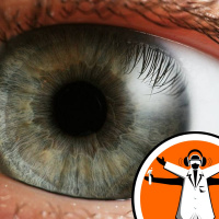 Cancer and Ocular Gene Therapies