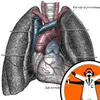 Respiratory Disorders and Muscular Dystrophies