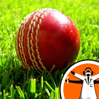 The Science of Spin Bowling