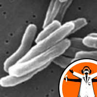 Bodyguard drugs and TB