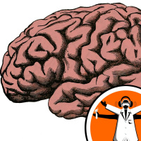Glioblastomas Effect on Genes