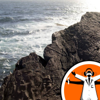 From Tiny to T-Rex: Why Life Got Large