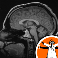 People prefer shocks to thoughts!