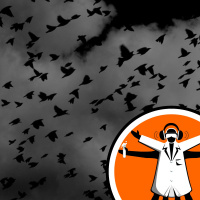 Smart birds flourish in cities