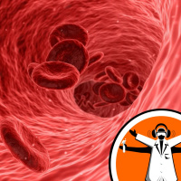 Growing new blood vessels