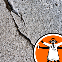 Flashy dinosaur fossil described