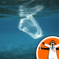 Biodegradable bags might not biodegrade