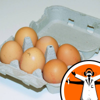 What Lies Behind an Eggs Shape?