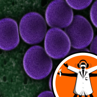 Self-cleaning surfaces