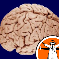 Communicating with Patients in Persistent Vegetative States