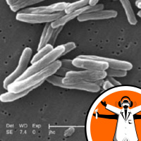 Testing for Tuberculosis