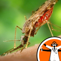 Zika declared public health emergency